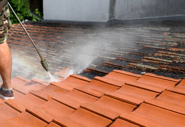Best Pressure Washing Company Near Me  in Belle Plaine, MN