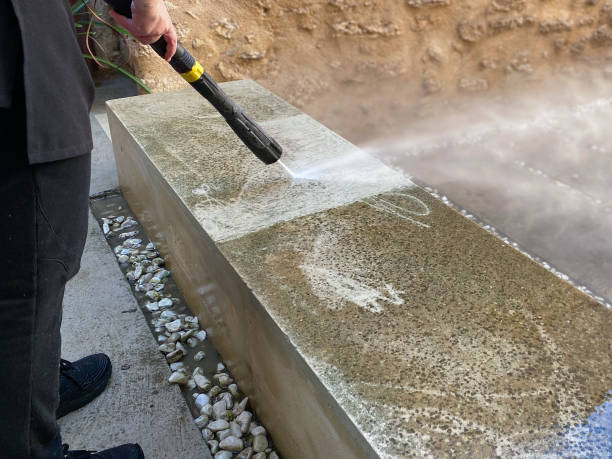 Best Deck Cleaning Services  in Belle Plaine, MN