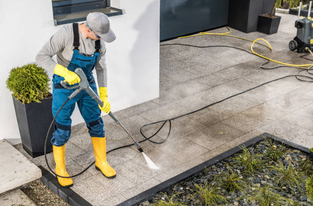 Best Exterior Home Cleaning  in Belle Plaine, MN