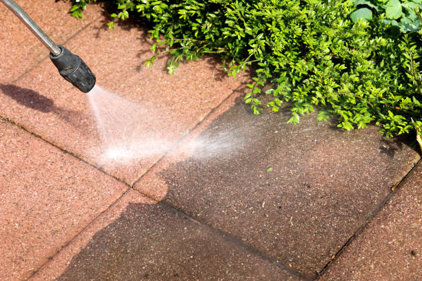 Best Roof Pressure Washing  in Belle Plaine, MN