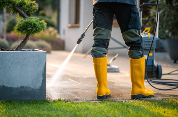 Best Power Washing Near Me  in Belle Plaine, MN